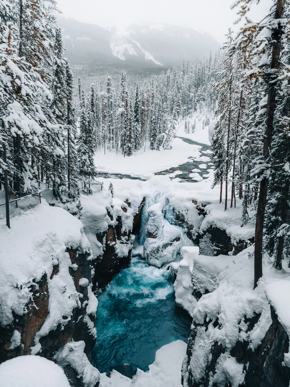 A turquoise river and small falls among snow-covered trees and rocks.
