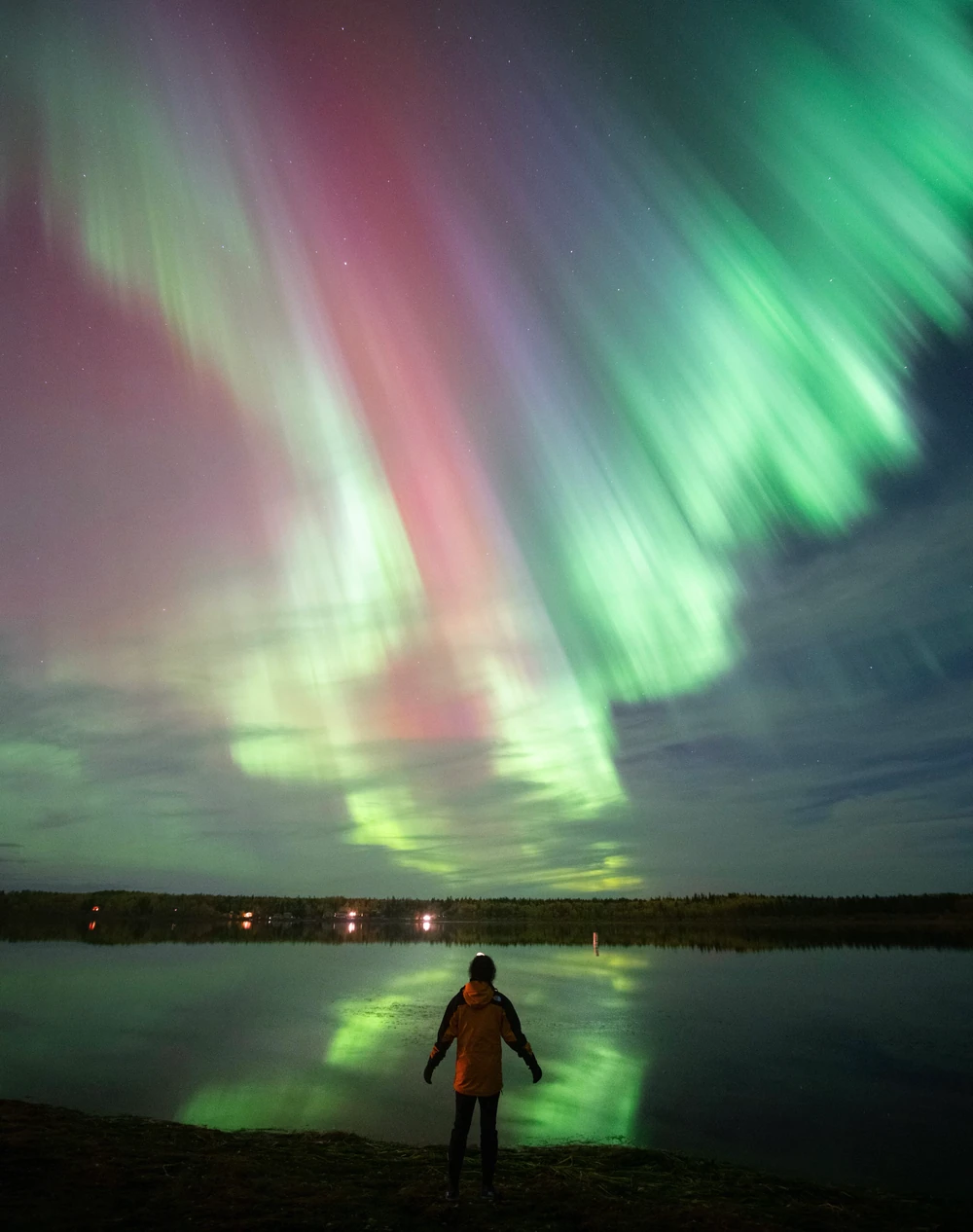 A person in a yellow jacket facing pink and green aurora curtains over a lake.