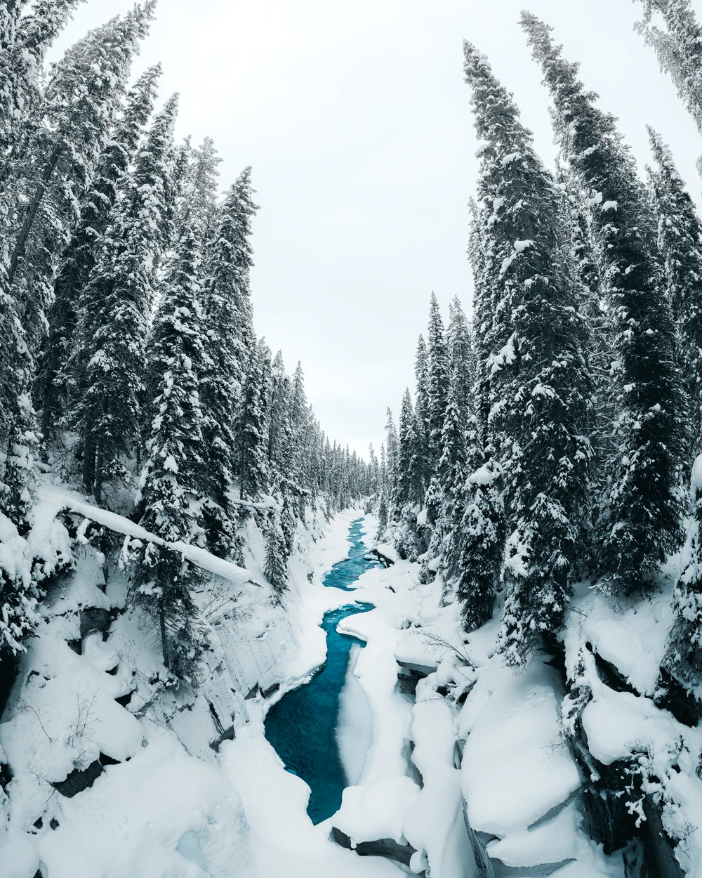 A vivid blue river winding between heavily snow-covered evergreens in Kootenay