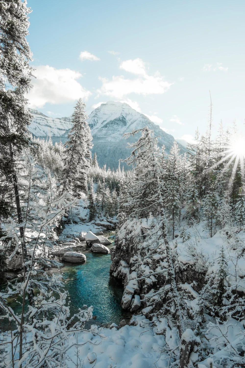 Sunlight on snow-covered trees beside a turquoise creek beneath a mountain in Kootenay.
