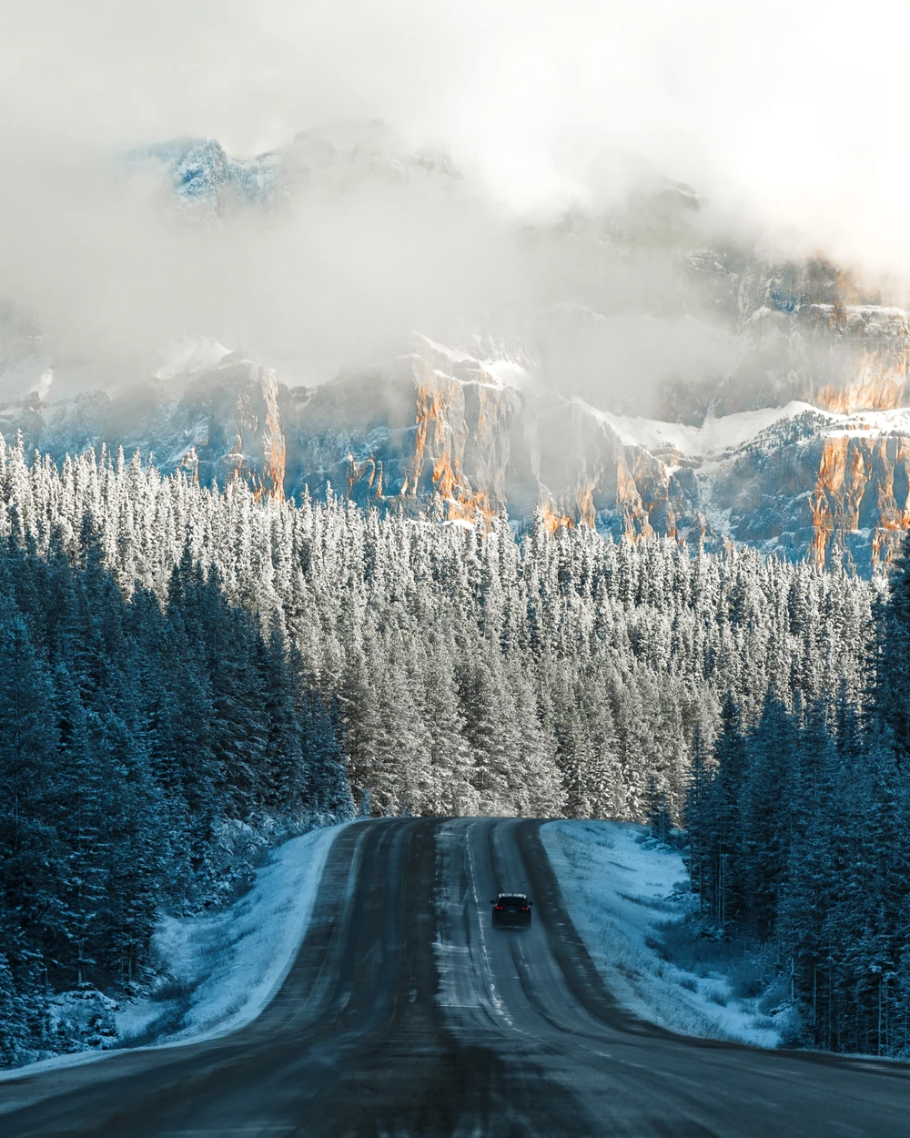 A winter road rising through evergreen forest below sunlit cliffs of Castle Mountain and low fog.