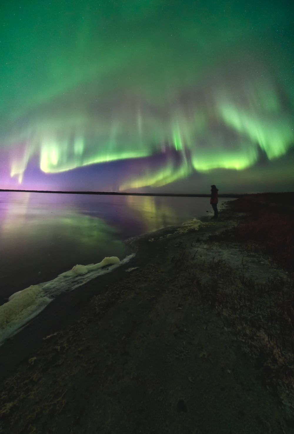 A person on a curving shoreline beneath green northern lights.