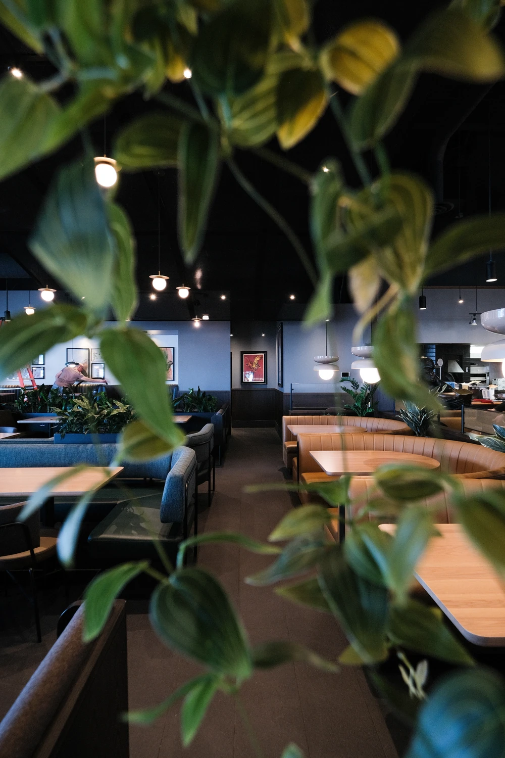 An Earls dining room seen through hanging green leaves, with booths, framed artwork and an installer at work in the background.