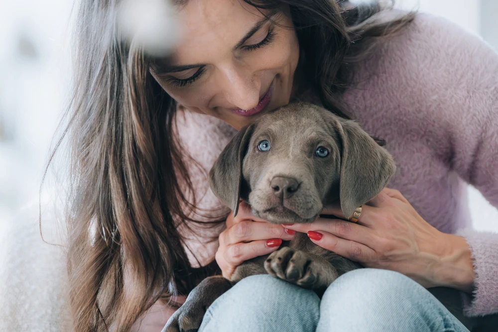 A person holding a puppy close beside a window.