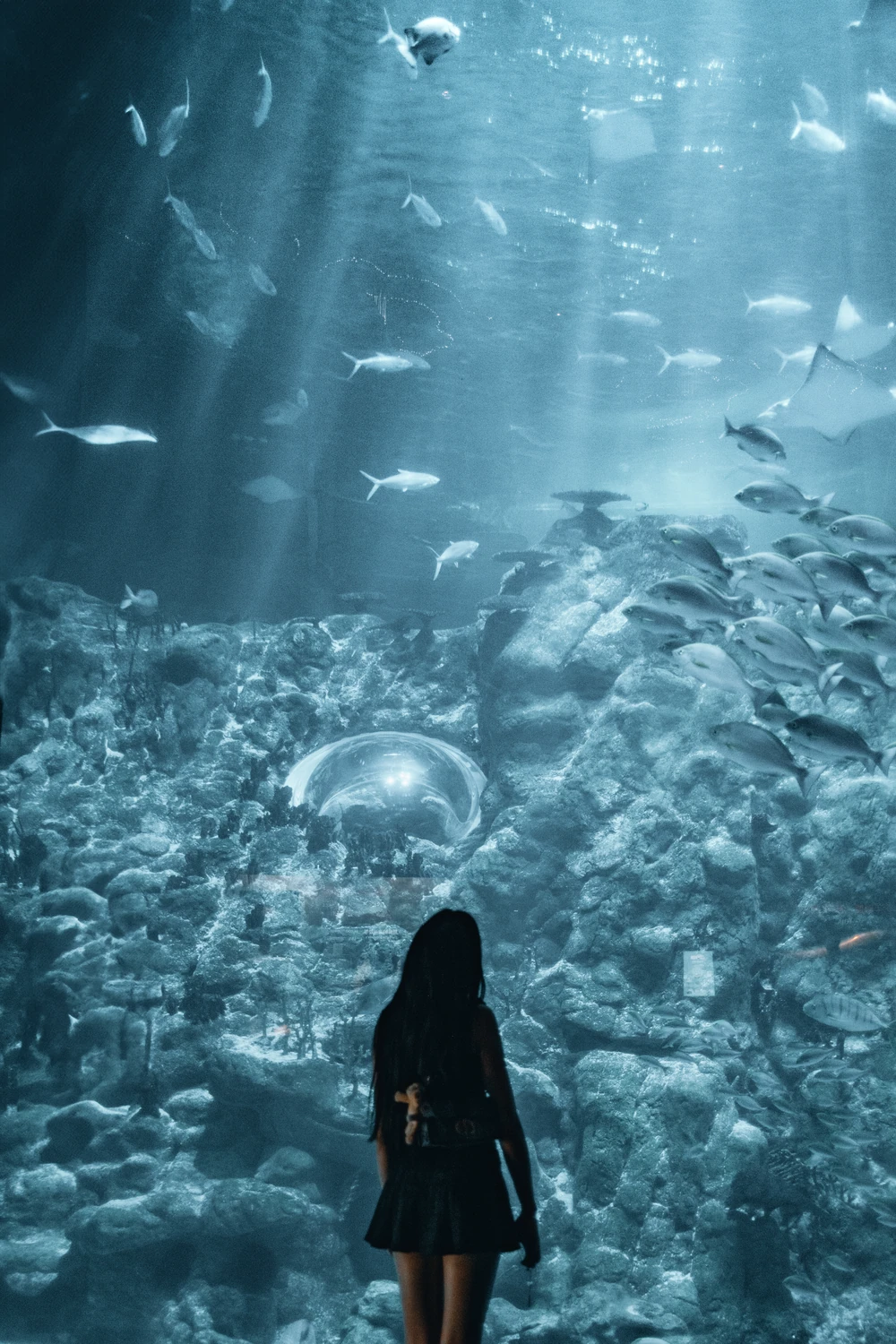 A silhouetted visitor standing before an immense blue aquarium filled with fish and shafts of light.